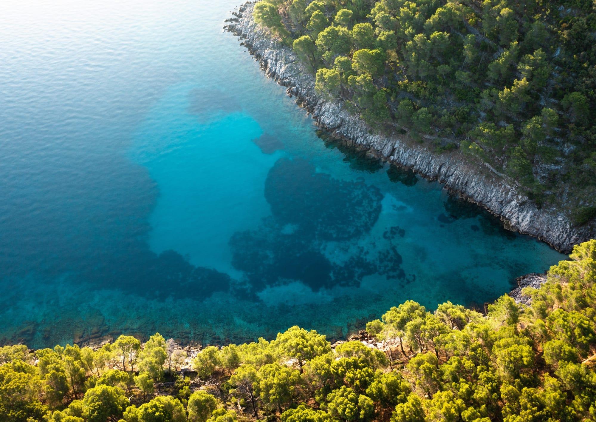 Swimming in crystal clear waters